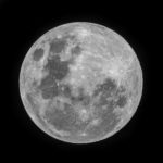 Profile picture of Lady Moonbeam